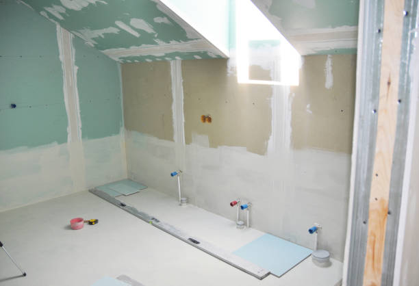 Best Asbestos and Lead Testing During Mold Inspection  in Landover, MD