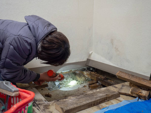 Best Commercial Mold Inspection  in Landover, MD