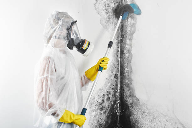 Forensic Mold Investigation in Landover, MD