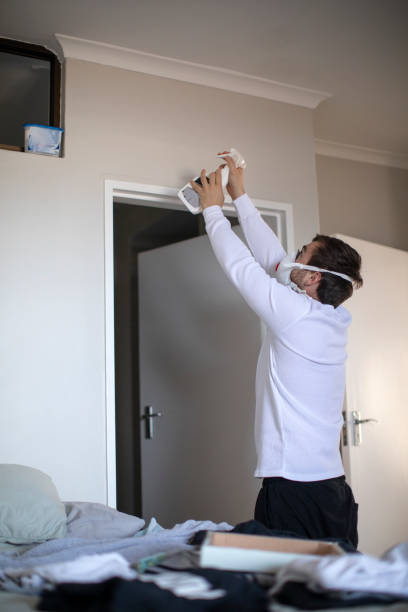 Trusted Landover, MD Mold Removal Experts