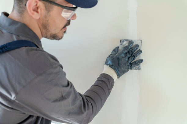 Best Emergency Mold Remediation  in Landover, MD