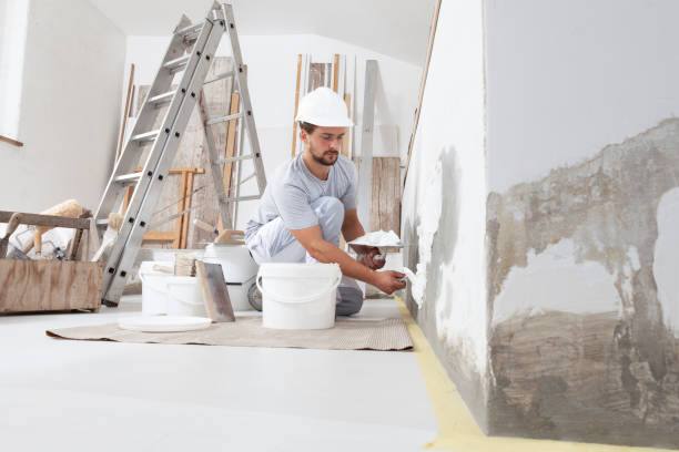  Landover, MD Mold Removal Pros