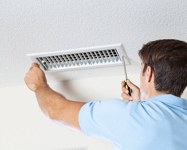 Best Black Mold Removal  in Landover, MD