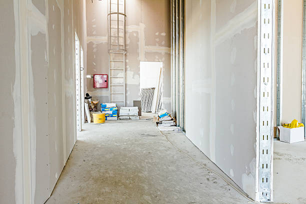 Best Crawl Space Mold Remediation  in Landover, MD