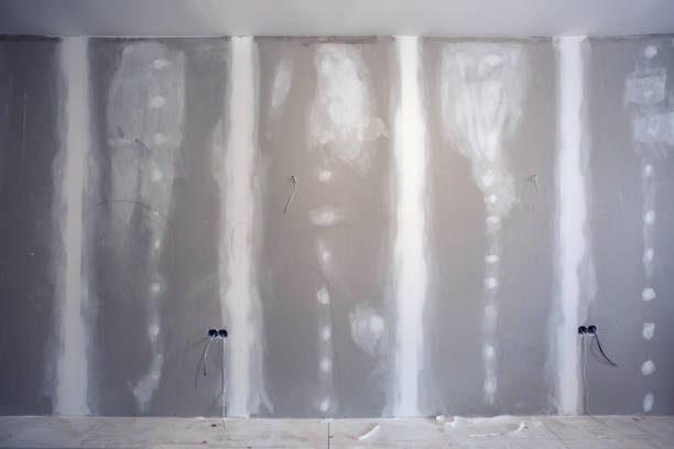 Best Biohazard Mold Removal  in Landover, MD